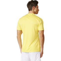 Adidas Koszulka męska Referee żółta r. M (AH9802). Brązowe koszulki sportowe męskie marki Adidas, z bawełny. Za 146,00 zł.