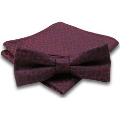 Mucha w Delikatny Wzór Paisley + Poszetka, Męska MUALTS0058. Muszki męskie Alties, na imprezę, w paski, eleganckie. Za 39,00 zł.
