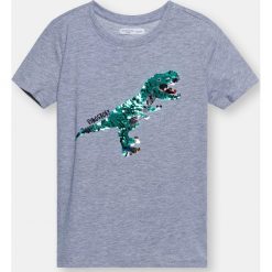 Koszulka chłopięca z dinozaurem - Szary. Szare t-shirty chłopięce Sinsay, bez wzorów, bez rękawów. Za 12,99 zł.