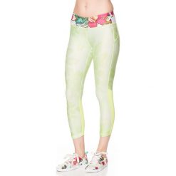 Legginsy: Legginsy w kolorze jasnozielonym