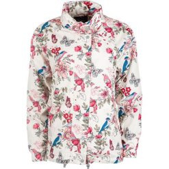 Pepe Jeans kurtka damska Jakna XS wielo barwny. Kurtki damskie Pepe Jeans, xs, bez wzorów, z jeansu, eleganckie. W wyprzedaży za 377,00 zł.