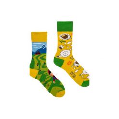 Herbata - kolorowe skarpetki Spox Sox. Skarpetki damskie Spox sox, bez wzorów. Za 25,00 zł.