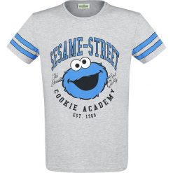Ulica Sezamkowa Cookie Academy T-Shirt odcienie szarego. Szare t-shirty męskie marki Ulica Sezamkowa, xl, z nadrukiem, z okrągłym kołnierzem. Za 99,90 zł.
