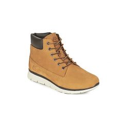 Buty Dziecko Timberland KILLINGTON 6 IN. Brązowe trampki chłopięce marki Timberland. Za 399,00 zł.