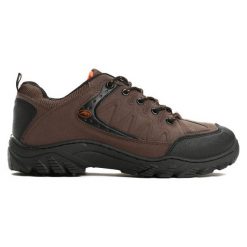 Buty sportowe męskie: Brązowe Buty Sportowe Wayfarer