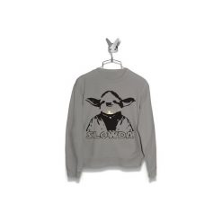 Bluza Slowda Damska. Szare bluzy damskie Failfake, xxl, bez wzorów, bez rękawów, bez kaptura. Za 160,00 zł.