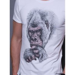 T-shirty męskie: T-shirt męski CIEKAWOŚĆ
