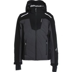 Kurtki sportowe męskie: Icepeak NEVILLE Kurtka snowboardowa black