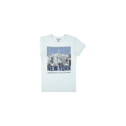 T-shirt krótki rękaw męski z printem. Szare t-shirty męskie TXM, m. Za 14,99 zł.