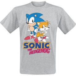 Sonic The Hedgehog Sonic And Tails T-Shirt odcienie szarego. Niebieskie t-shirty męskie z nadrukiem marki Reserved, l, z okrągłym kołnierzem. Za 74,90 zł.