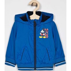 Blukids - Kurtka dziecięca 68-98 cm. Niebieskie kurtki chłopięce Blukids, bez wzorów, z poliesteru, krótkie, z kapturem. W wyprzedaży za 59,90 zł.