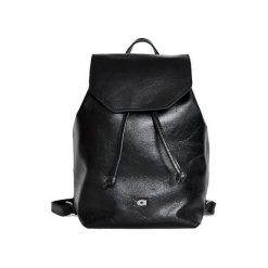 Plecak skórzany unisex czarny DAAG Jazzy Party 76. Czarne plecaki męskie daag, w paski, ze skóry. Za 349,99 zł.