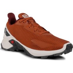 Buty SALOMON - Alphacross Blast 411035 28 W0 Umber/Vailla Ice/Ebony. Pomarańczowe buty sportowe męskie Salomon, z tworzywa sztucznego, bez zapięcia, do biegania. Za 399,00 zł.