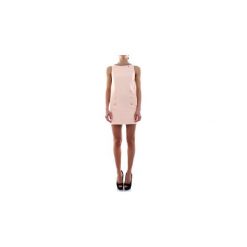 Sukienki krótkie Elisabetta Franchi AB80092E2. Różowe sukienki damskie Elisabetta Franchi, bez wzorów, bez kołnierzyka, z krótkim rękawem, krótkie, mini. Za 1343,77 zł.