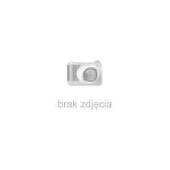 Odlo Koszulka Stand-up collar s/s FLUID r.L (410872). Szare t-shirty męskie Odlo, s. Za 189,95 zł.