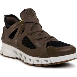 Sneakersy ECCO - Multi-Vent M GORE-TEX 88013451751 Tarma/Black/Sulphur. Pomarańczowe sneakersy męskie ecco, bez wzorów, ze skóry, bez zapięcia. Za 699,00 zł.