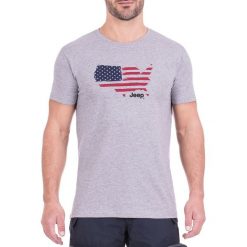 T-shirty męskie: T-shirt w kolorze szarym