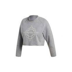 Bluzy adidas Krótka koszulka Wanderlust. Szare t-shirty damskie marki Adidas, xl, z krótkim rękawem. Za 169,00 zł.