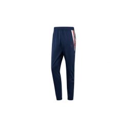 Spodnie dresowe męskie: Spodnie treningowe Reebok Classic Spodnie dresowe Franchise