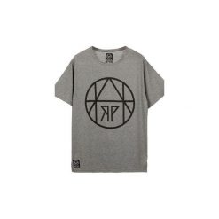 T-shirty męskie: T-SHIRT CIRCLE GRAY