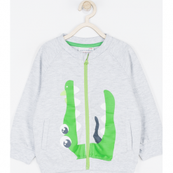Bluza. Szare bluzy chłopięce rozpinane BABY DINO, z nadrukiem, z bawełny. Za 69,90 zł.