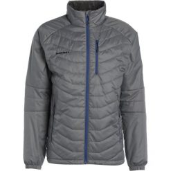 Kurtki sportowe męskie: Mammut RIME TOUR IN Kurtka Outdoor titanium/ultramarine