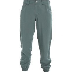 Bryczesy damskie: Patagonia EDGE WIN JOGGERS Spodnie materiałowe pesto
