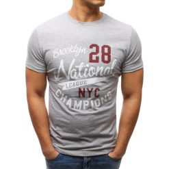 T-shirty męskie: T-shirt męski z nadrukiem szary (rx2645)