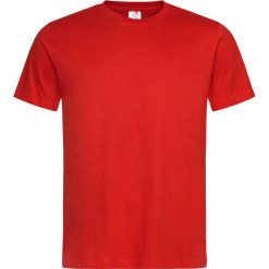 Czerwony Bawełniany T-Shirt Męski Bez Nadruku -STEDMAN- Koszulka, Krótki Rękaw, Basic, U-neck TSJNPLST2000scarletred. Czerwone koszulki męskie Stedman, m, z nadrukiem, z bawełny, casualowe, bez kołnierzyka, krótkie. Za 24,00 zł.