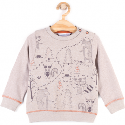 Bluza. Brązowe bluzy chłopięce marki SCENT, z aplikacjami, z bawełny, z długim rękawem, długie. Za 29,90 zł.