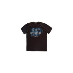 T-shirty męskie z nadrukiem: t-shirt męski z nadrukiem