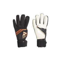 Rękawiczki męskie: Rękawiczki adidas Rękawice Predator 18 Pro