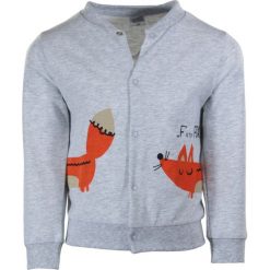 TXM BLUZA NIEMOWLĘCA CHŁOPIĘCA SPORT 74 JASNY SZARY MELANŻOWY. Szare bluzy niemowlęce TXM, bez wzorów, sportowe, bez rękawów, bez kaptura. Za 24,99 zł.