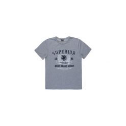 T-shirt męski. Szare t-shirty męskie marki TXM, m, z nadrukiem, z bawełny, z klasycznym kołnierzykiem. Za 19,99 zł.