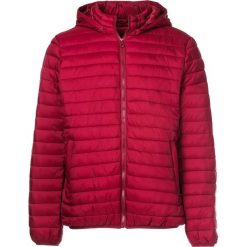 Bordowa Kurtka Rhellienne. Czerwone kurtki męskie Born2be, xl, bez wzorów, bez kaptura. Za 119,99 zł.