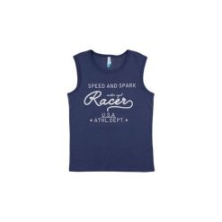 T-shirty męskie: t-shirt bez rękawów męski z nadrukiem, z lamówkami