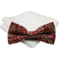 Modna Mucha Męska - Alties - Wzór Orientalny MUALTS0188. Muszki męskie Alties, na imprezę, w paski, eleganckie. Za 39,00 zł.