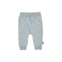 Feetje Spodnie little star grey. Szare spodnie chłopięce marki Feetje, z elastanu. Za 49,00 zł.