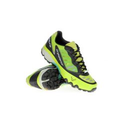 Buty sportowe damskie: Buty do biegania Dynafit WS Feline Ghost 64004-5313