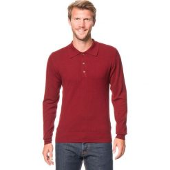 Koszulki polo: Koszulka polo w kolorze bordowym