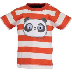 Blue Seven - T-shirt dziecięcy 68-86 cm. Czerwone t-shirty chłopięce Blue Seven, bez wzorów, z bawełny, bez rękawów. Za 59,90 zł.