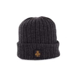 Czapki Refrigiwear B01600. Szare czapki zimowe męskie Refrigiwear. Za 161,99 zł.