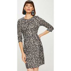 Answear - Sukienka Animal Me. Szare sukienki dzianinowe ANSWEAR, na co dzień, l, casualowe, z okrągłym kołnierzem, mini, proste. Za 149,90 zł.
