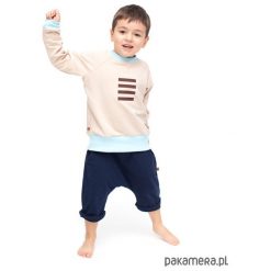 Bluzy dziewczęce: Bluza raglan krem stripes