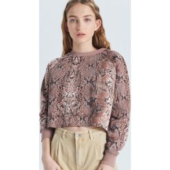 Krótka bluza z wężowym wzorem - Kremowy. Białe bluzy damskie Cropp, s, bez wzorów, z krótkim rękawem, krótkie, bez kaptura. W wyprzedaży za 15,99 zł.