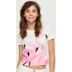 T-shirty damskie: T-shirt z flamingami – Biały