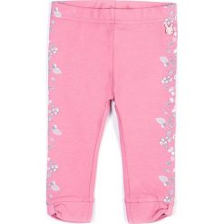 Coccodrillo - Legginsy dziecięce 56-86 cm. Różowe legginsy dziewczęce COCCODRILLO, z nadrukiem, z elastanu. W wyprzedaży za 14,90 zł.