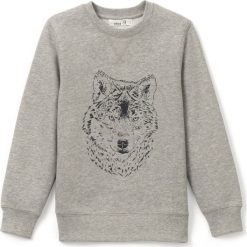 Bluzy chłopięce: Bluza z wilkiem 3-12 lat