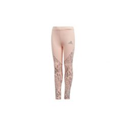Legginsy dziewczęce: Legginsy i Rajstopy Dziecko adidas Legginsy treningowe Long