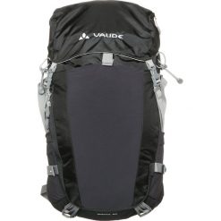 Plecaki męskie: Vaude BRENTA 25 Plecak podróżny black